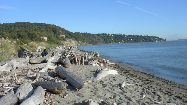 South Beach on Discovery Park.