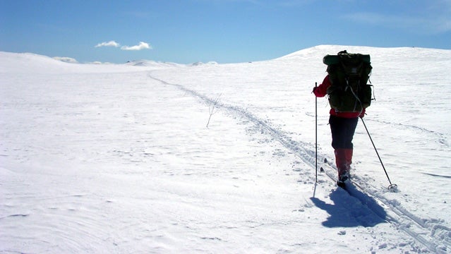 Spring ski touring on Hardangervidda, Norway.