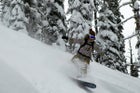Baldface Lodge Burton Snowboards Jake Burton Jeff Curtes backcountry catboarding family snowcat