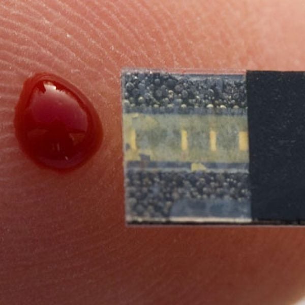 blood analysis test nutrition