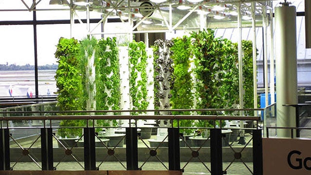 chicago o'hare urban garden airport food chicago food outside travel awards