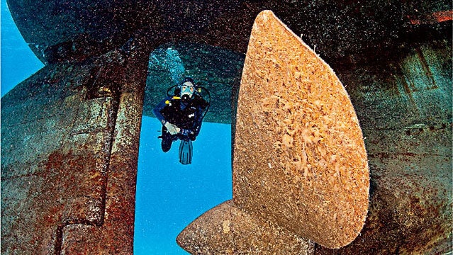kittiwake wreck winter destinations scuba diving