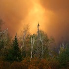 Pagami Creek fire Minnesota water Boundary Waters Canoe Area Kawasachong lake