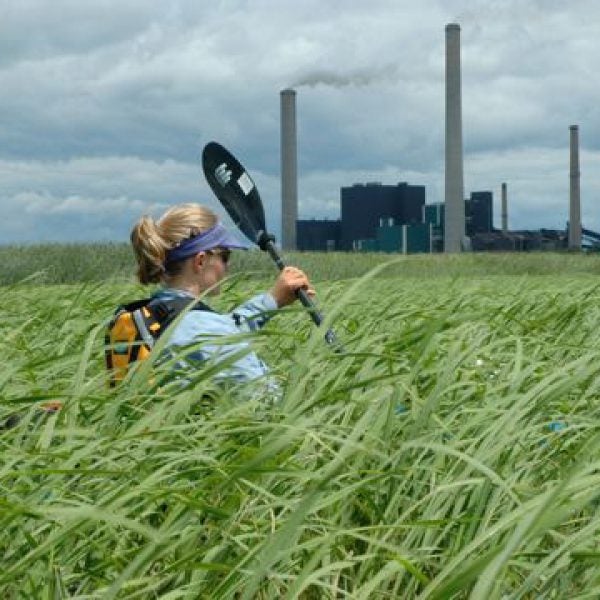 Danielle Katz navigating Mississippi River grass.