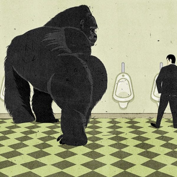 Gorilla vs. human genital size