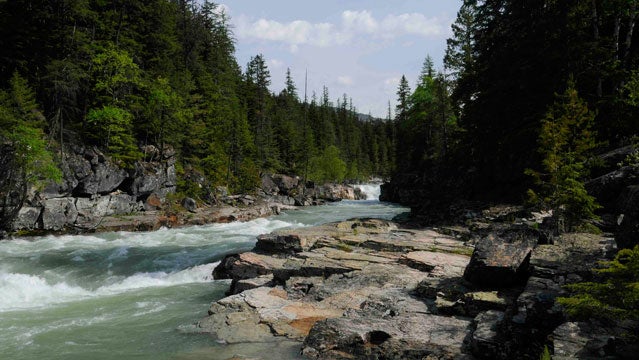 Henry's Fork River in Idaho.