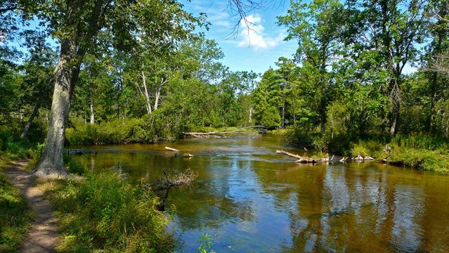 Little Manistee, Michigan.