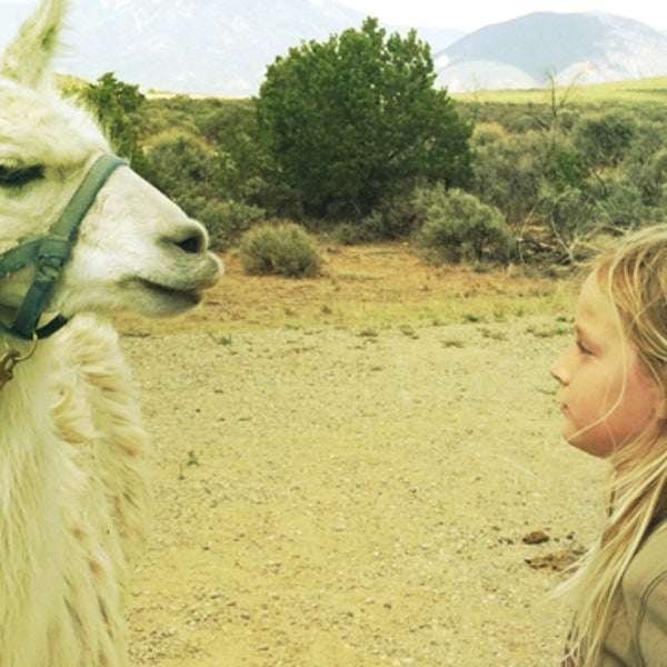 sierra club our wild west hiking camping llamas