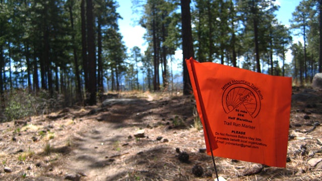 trail racing training