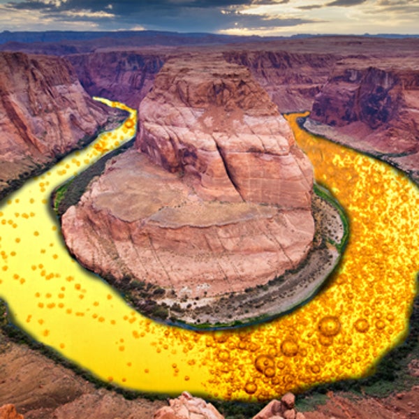 beer clean water act obama