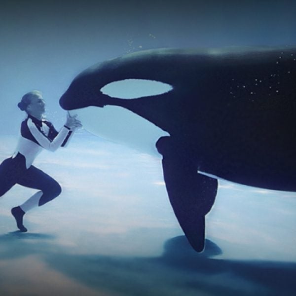blackfish movie documentary tim zimmerman orcas seaworld dispute argument
