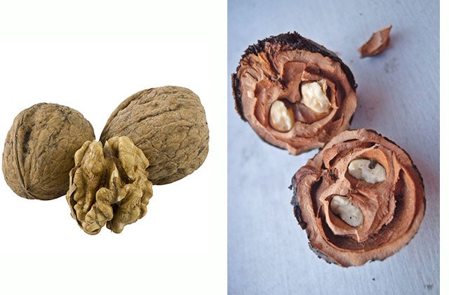 Black Walnuts