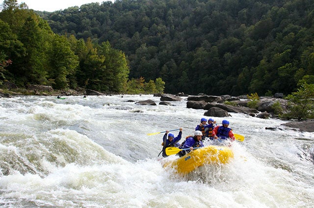 Lower Gauley