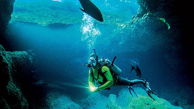 niue south pacific island island trips beach beaches vacations travel diving