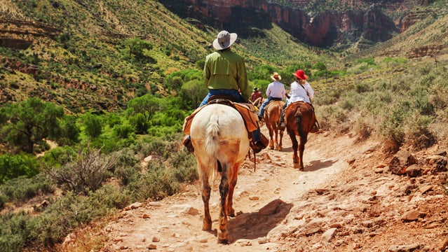 grand canyon hiking group team planning