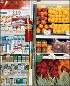 food guide