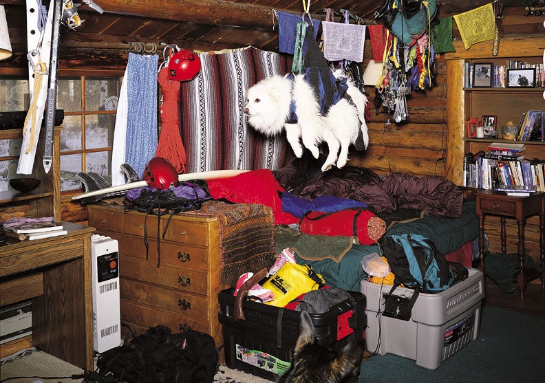 messy house dog