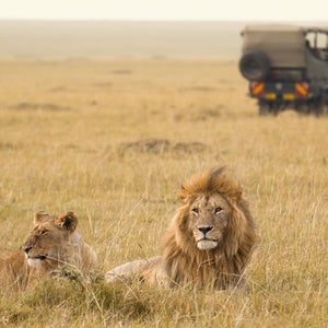 Bushnell's binocs allow you to see wildlife more clearly.