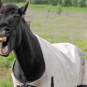 laughing how to tell better jokes