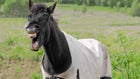 laughing how to tell better jokes