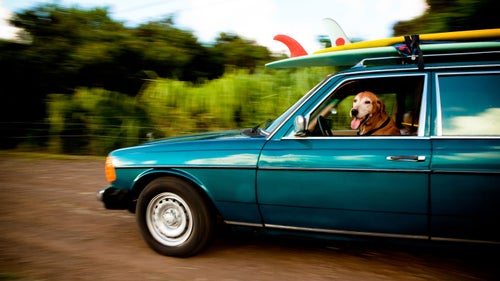 OutsideOnline Dogs Oahu Surfing