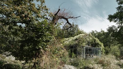 Lombardy ItalyCompletely overgrown with this weekend home sits in the R