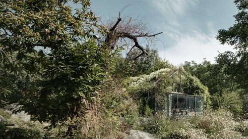 Lombardy ItalyCompletely overgrown with this weekend home sits in the R