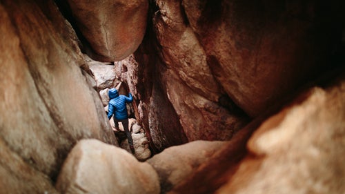 california joshua tree