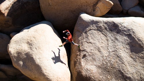 california joshua tree