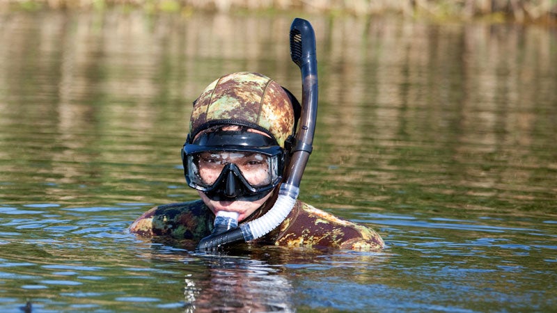 Snorkeling fishes