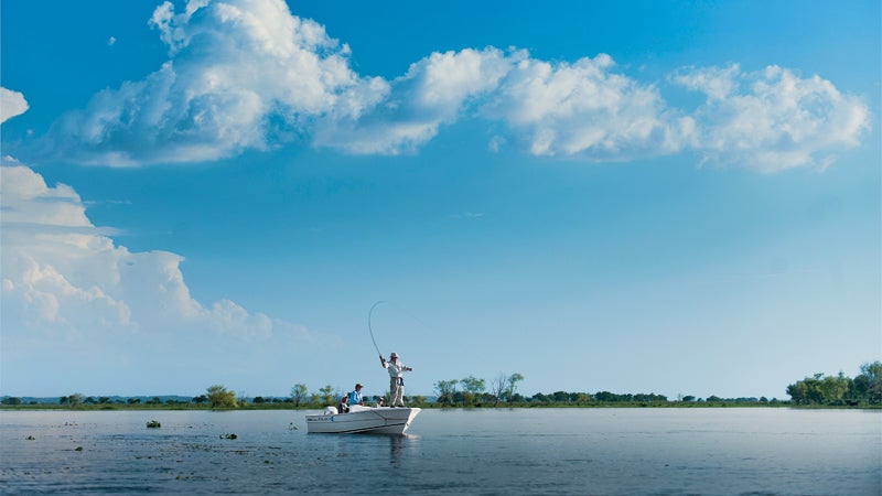 con mosca cortaderas dorado entre rios fishing fly golden litoral pesca