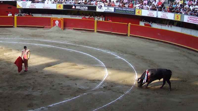 A ray of light peaks through the retractable roof of Medellin's Plaza de la Macarena as freshman matador Santiago Gómez stares down his bull.