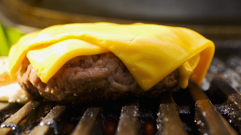 Meat cheese this is why you're fat