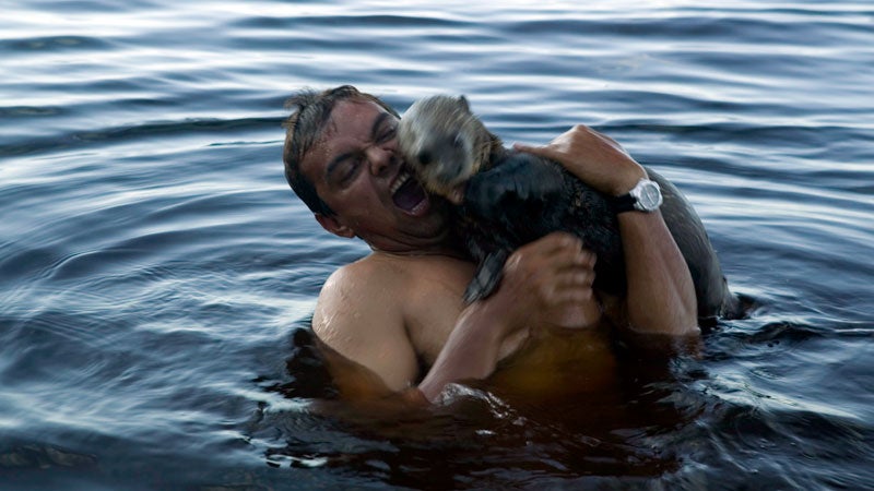 Can An Otter Take Down A Human Outside Online Can An Otter Take Down A Human Outside Online