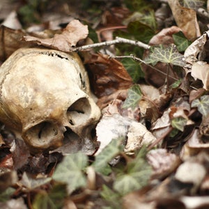 ways to die in the wild skull forest ground leaves graves skull forest