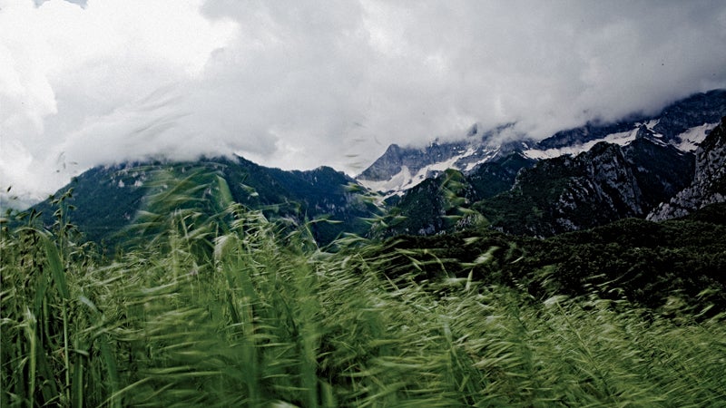 Southern Albanian highlands in Fir of Hotova National Park.