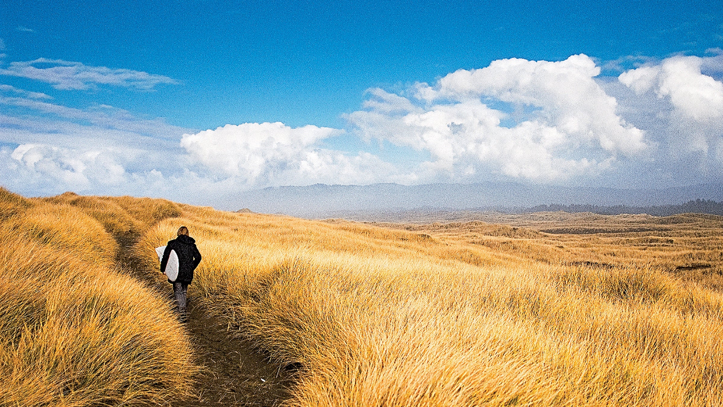 Strolling the Oregon coast: only blue and gold as far as the eye can see.