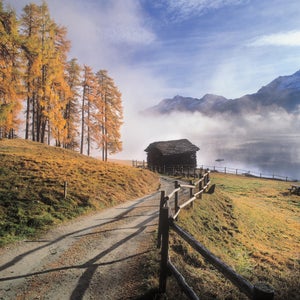 Alps Autumn Cabin Central Europe Chalet Dwelling Engadin  Europe Europe Fall color Graubunden Canton House Lake Mountain Mountain range Nobody Outdoors Road Rural road Seasons Switzerland Unpaved road Valley Water