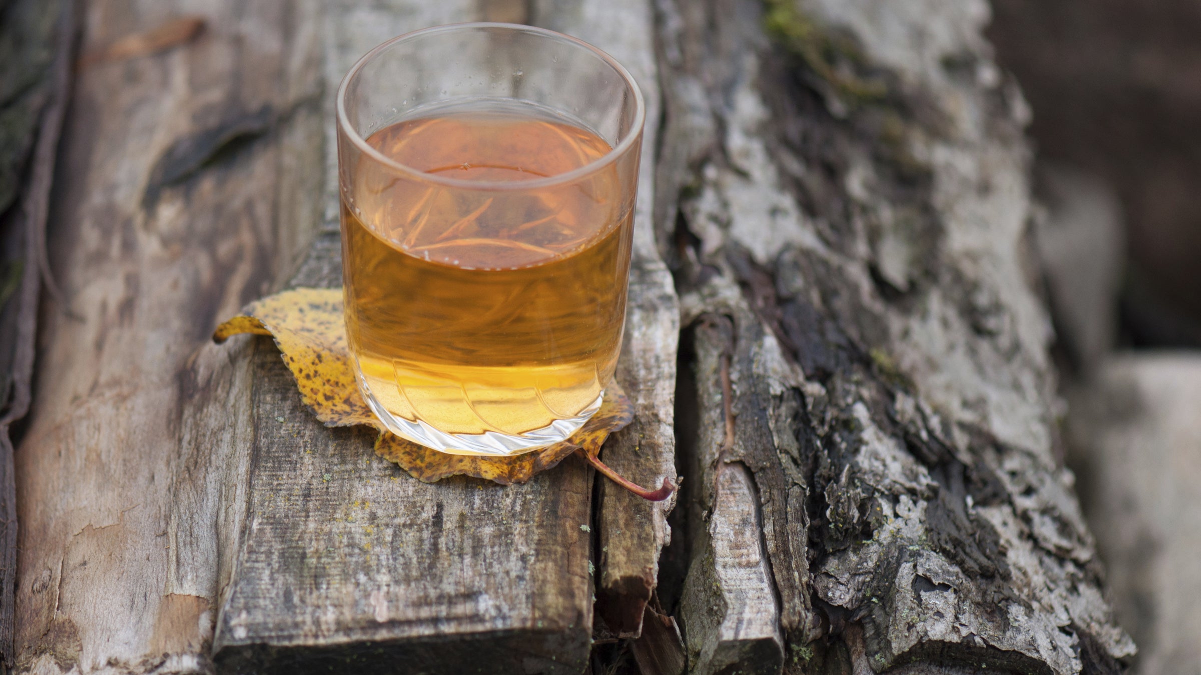 Cider Apple cider Hard Cider Outside Online Drink of the future