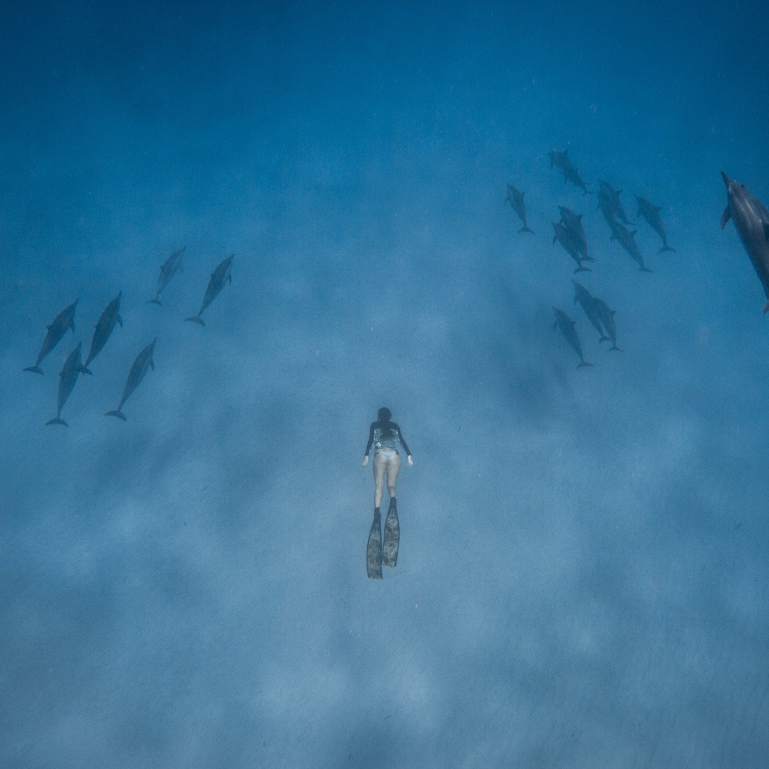Oahu freedive dolphins photography Outside Magazine