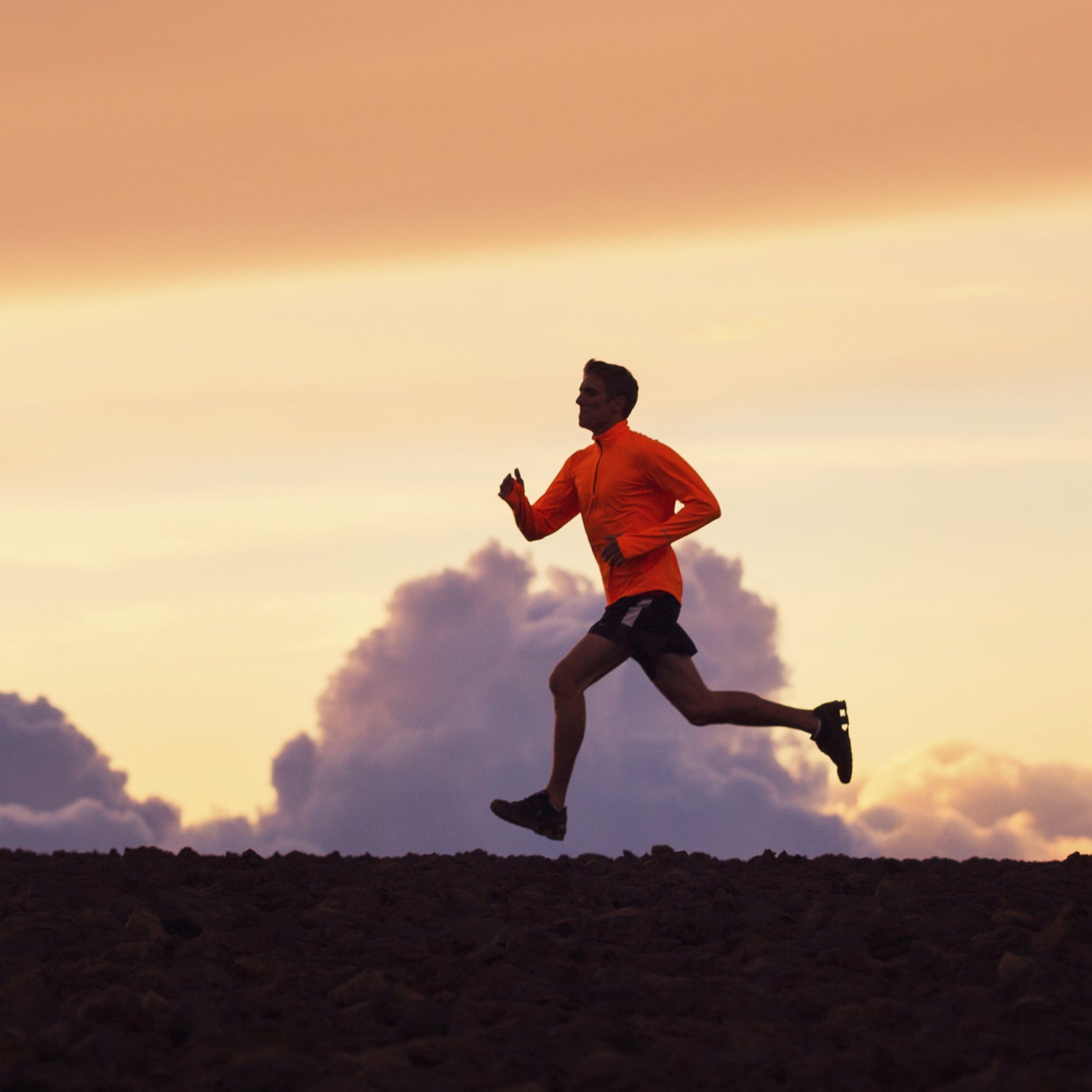 Conventional wisdom for endurance athletes has been to avoid fat and load up on carbohydrates. Research has shown things aren't quite so simple. Read more.