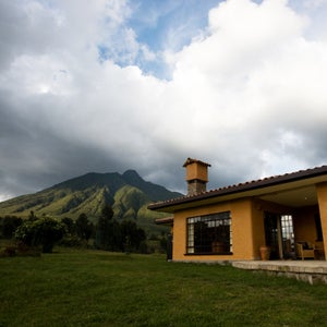 Travel Adventure Goriallas Rwanda Outside Online