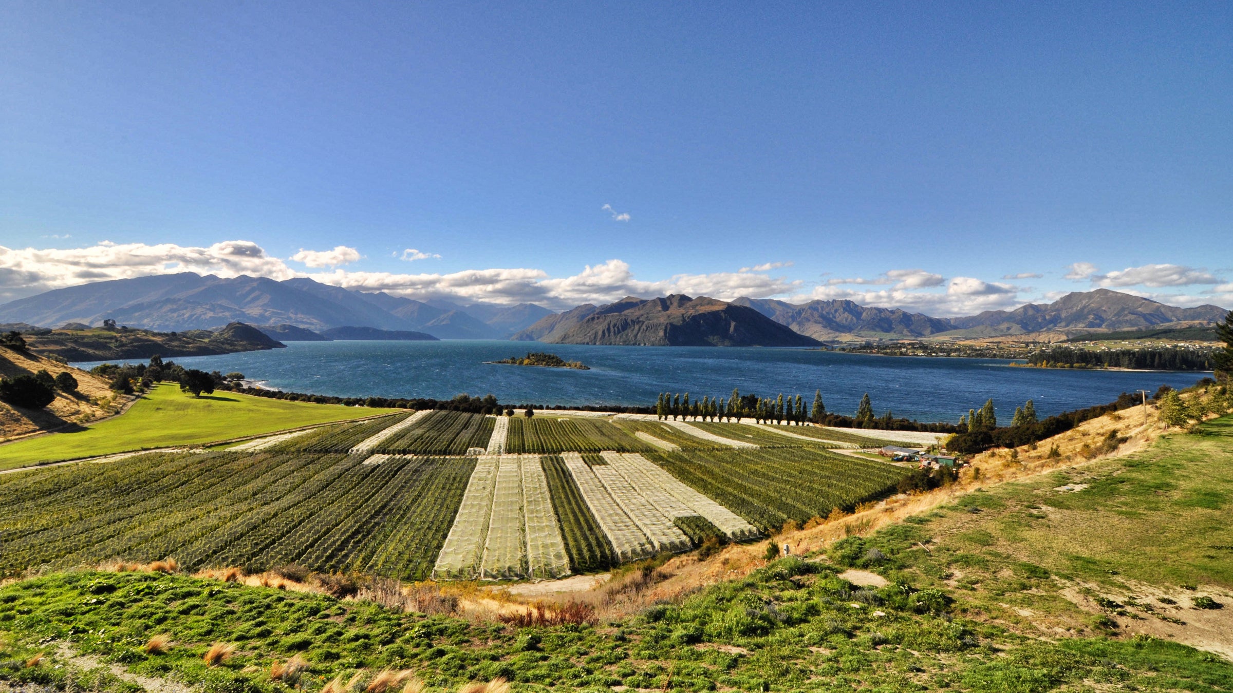 Rippon Valley Winery New Zealand Wanaka emerging wine areas napa valley earthquake outside outside magazine outside online ac shilton food and drink the current