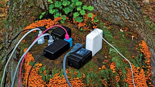 digital detox david roberts grist outside technology mindfulness