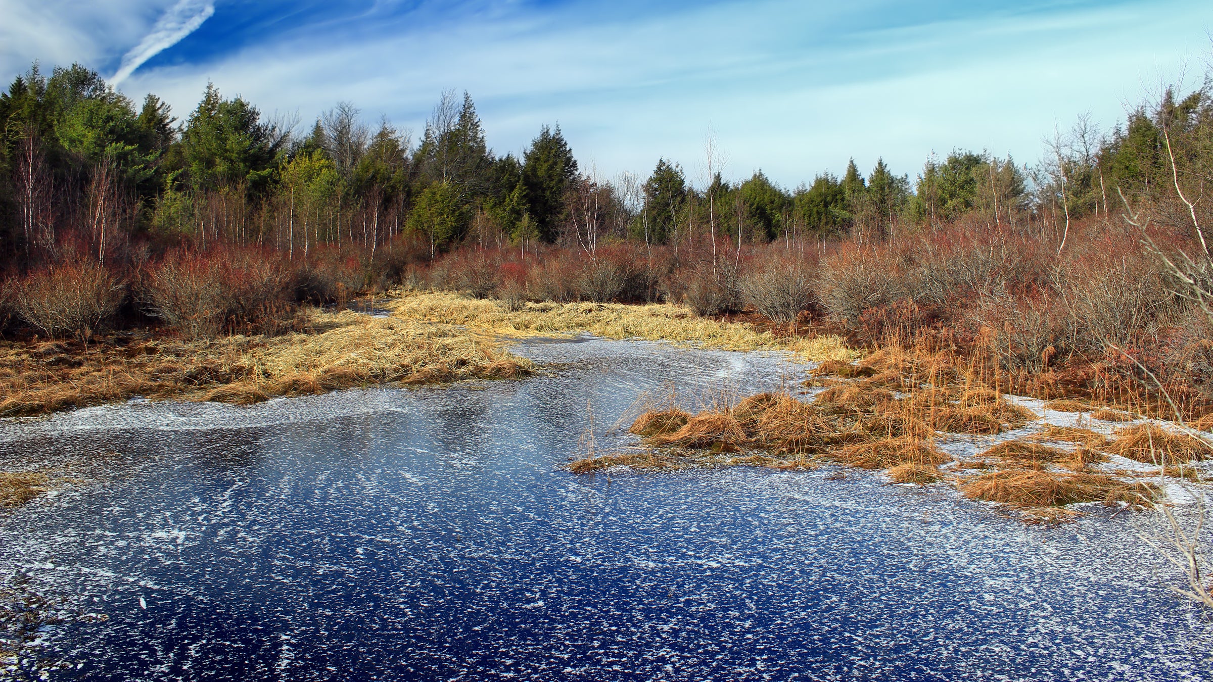 Skating Home Backward