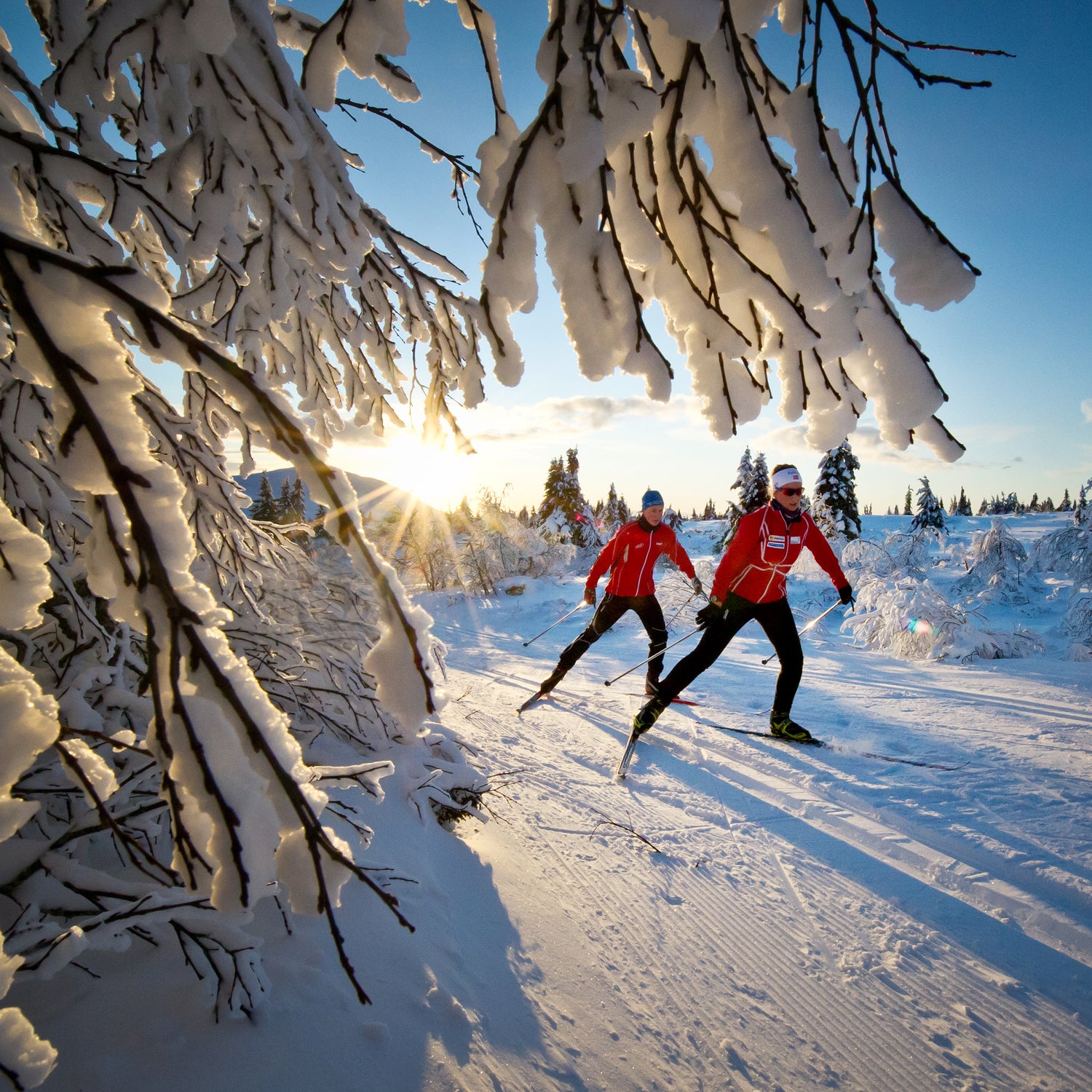 langrenn burås benefits of exercise get fit Outside Magazine