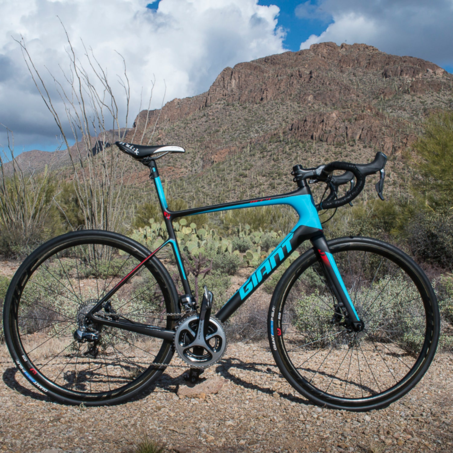 Giant Proves Disc Brakes Are Here to Stay