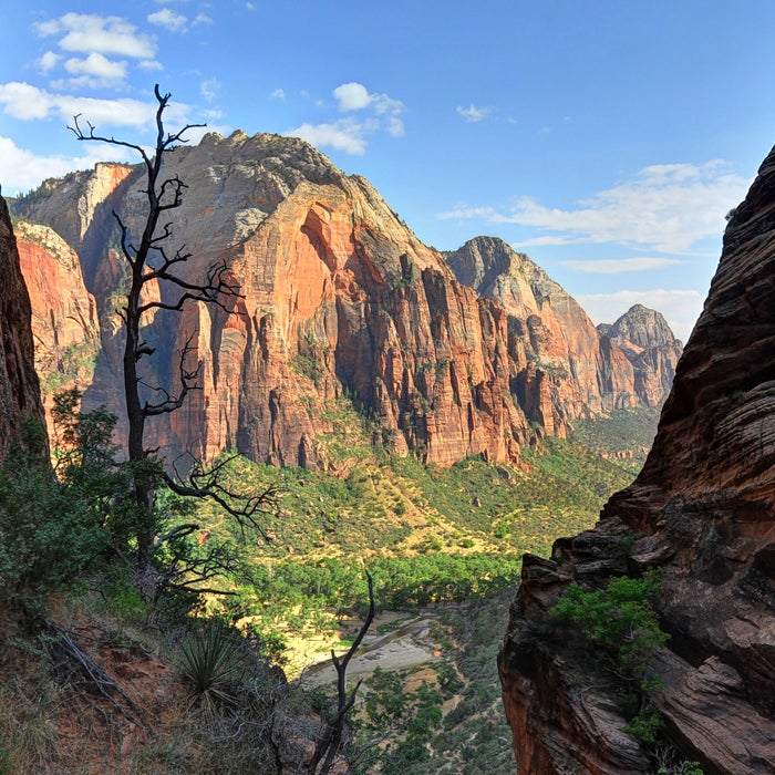 This short hike attracts thousands of people, many of whom take the half-mile trail for granted. Most of the hike is indeed quite tame, but the sheer number of hikers can lead to dangerous traffic jams at the upper point.
The route, an extension of the West Rim Trail, starts by following a narrow sandstone ridge with steep drop-offs. The final ascent is a steep stone staircase that climbs to the top of a sandstone fin. The path is just wide enough for one person—if someone tries to pass you, you’ll either have to scurry up the rock or step perilously close to the edge. Anchored chains support hikers on the final section. Some people opt out here, letting the more intrepid go on to the exposed platform.
Here’s where things get dangerous. The National Park Service states that at least five people have fallen to their deaths on Angel’s Landing, adding that it’s an incomplete list. That also doesn’t include the people who fall and are rescued, an occurrence that happens almost annually.