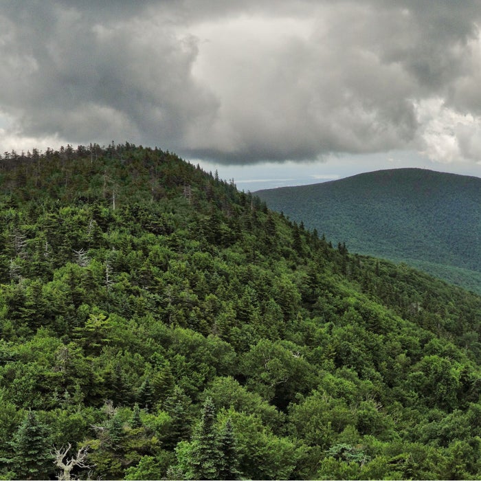 A deadly trail in New York? That’s right, and it's every bit as brutal as the name implies.
Devil's Path is more than 24 miles long, but the eastern portion has the classic sections, including a six-mile round-trip hike up Indian Mountain. Inexperienced hikers or those with a fear of heights shouldn't venture up this one. It's a steep, unrelenting climb, with sections that require hikers to hoist themselves up by grabbing onto slippery roots. Another spot has a "chimney," where hikers navigate a 10-foot cliff and shimmy around a fallen tree. In many spots, tripping and falling has deadly consequences. You'll also have to contend with moss-covered rocks, deep mud, and water on the path.
According to officials, someone dies almost every year on Devil's Path, whether from a fall or heart attack.
