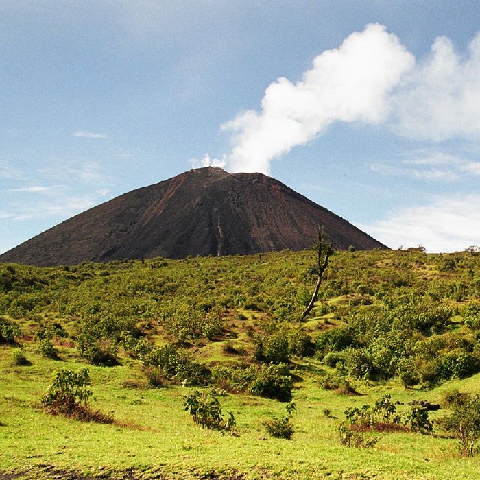 Active volcanoes typically aren't top tourist attractions, but Guatemala's Pacaya, located near the capital city, is different. Pacaya became active again in 1965. Since then, eruptions have killed a handful of people.